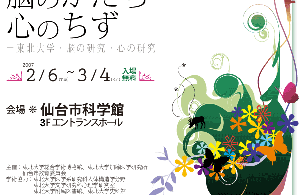 東北大学総合学術博物館のすべて　企画展「脳のかたち　心のちず」