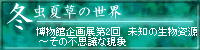 博物館企画展第2回　「冬虫夏草の世界」へのリンク