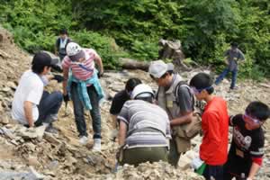 南三陸町歌津館浜北方の露頭で化石をさがす