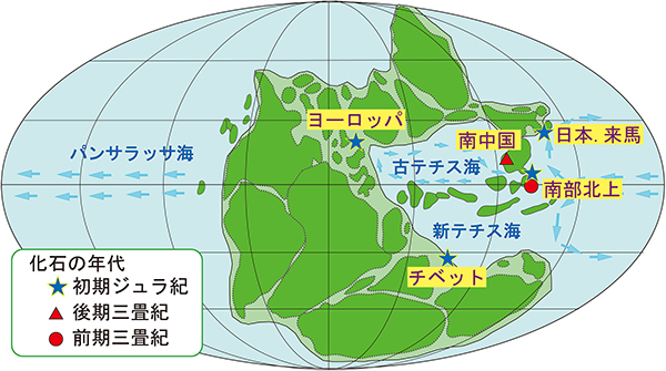 三畳紀の大陸配置と三畳紀－初期ジュラ紀ベレムナイトの産出地域