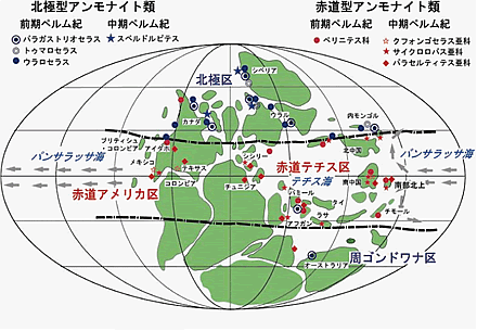 アンモナイト化石の種類ごとの生息圏から当時の古地理がわかる