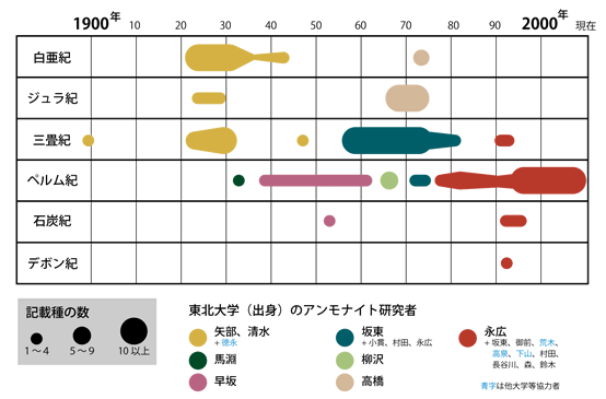 東北大学関係者による「みちのく」のアンモナイト記載種数とアンモナイトの年代