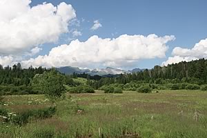 白頭山の広い草原