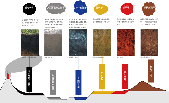 彩り豊かな土