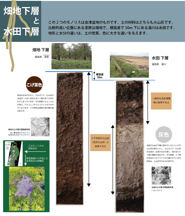 畑地下層と水田下層