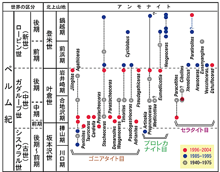 北上山地のペルム紀アンモナイトの層位分布(年代分布）と記載された時期