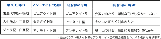 アンモナイトの分類による縫合線の特徴