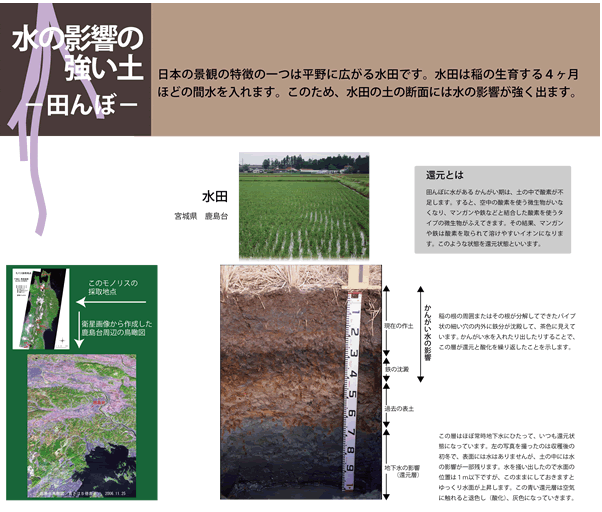 畑地下層と水田下層